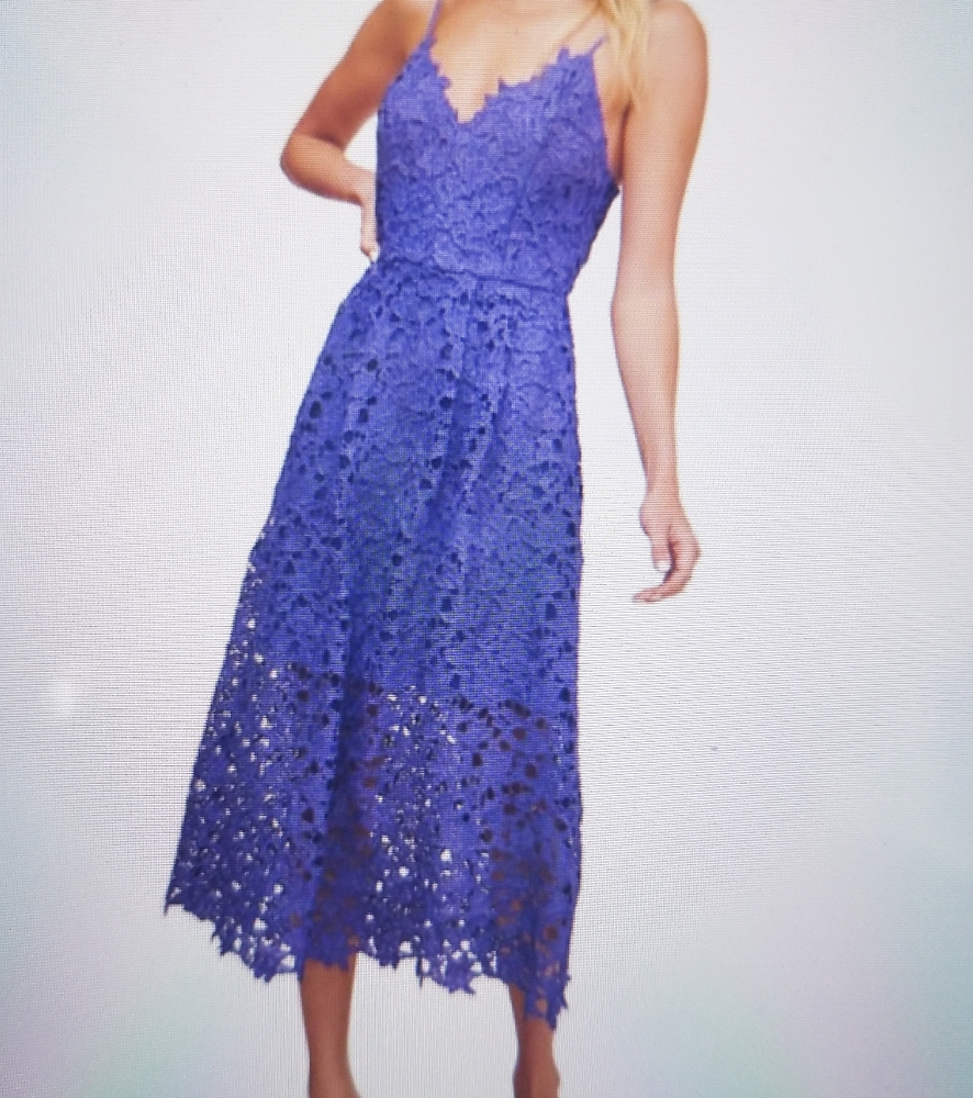 Eliza J Blue Lace Overlay Dress